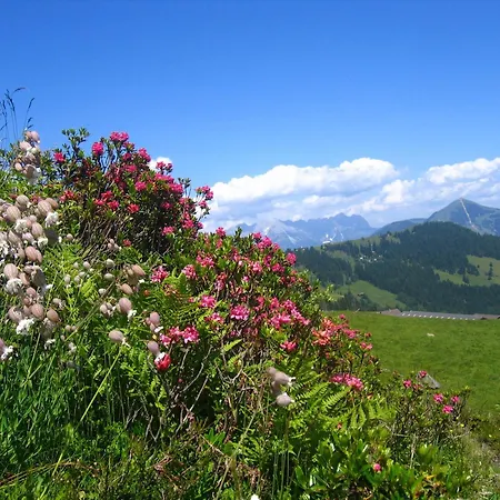 Haus Moosanger Apartament *