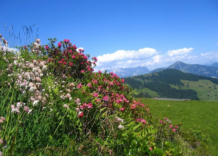 Haus Moosanger Apartamento *