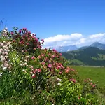 Haus Moosanger Apartamento *